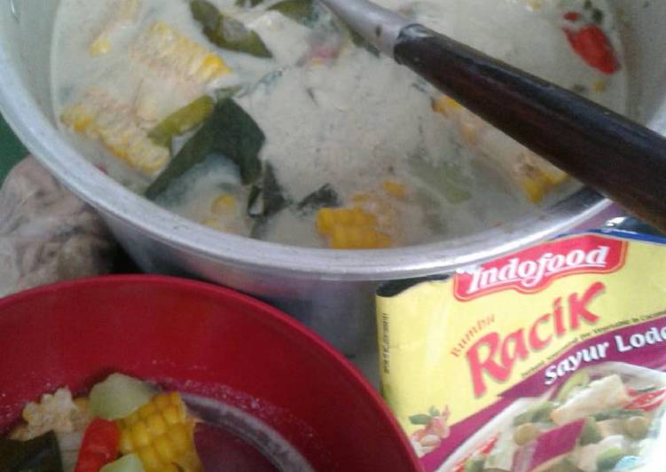 resep lengkap untuk Sayur lodeh (no ulek no ribet) tapi enakkk