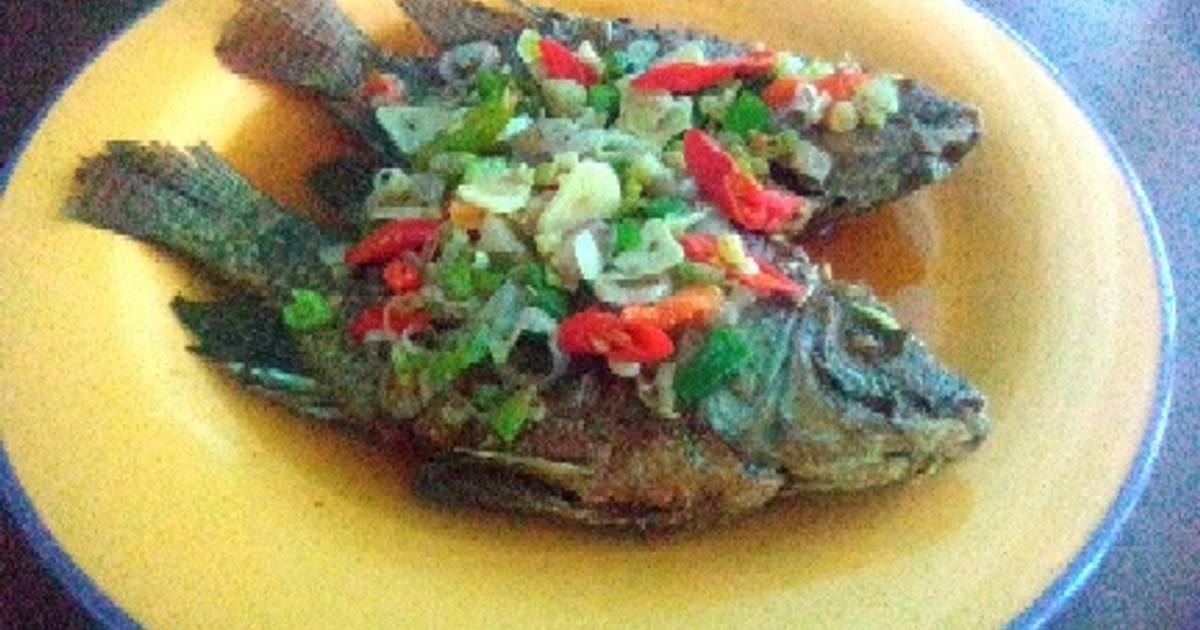 Resep Ikan Goreng Saus Tiram Enak Dan Sederhana Cookpad