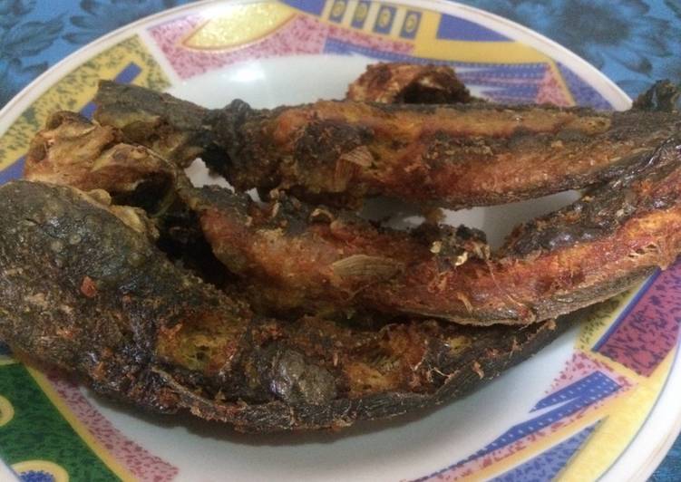 Resep Lele  Goreng  oleh Eka Yulianti Cookpad