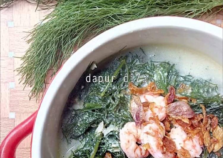 2000 Gambar Daun Adas HD Paling Keren 2000 Gambar Daun Adas HD Paling Keren