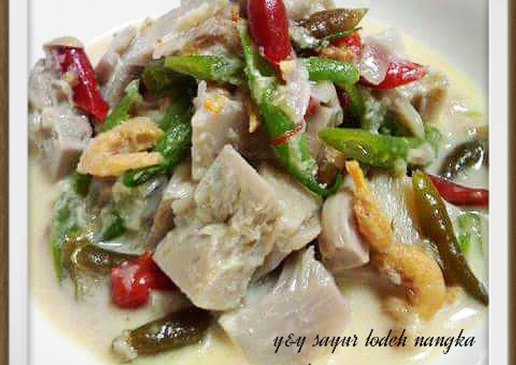 Resep sayur lodeh nangka muda - yNy