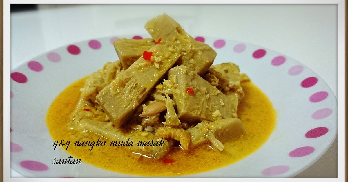  Resep Nangka muda masak santan oleh yNy Cookpad