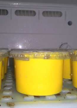 Ice cream singapura varian mangga