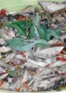 Ikan Tongkol bumbu rica_rica