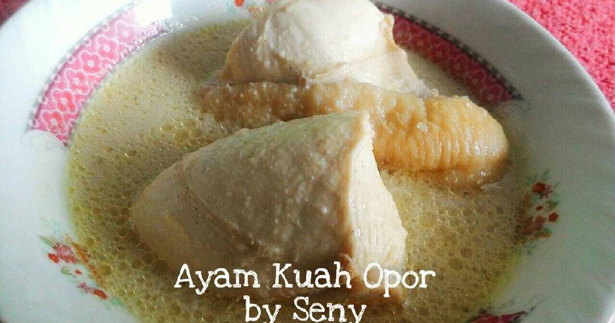 Resep Ayam Kuah Opor ala Seny