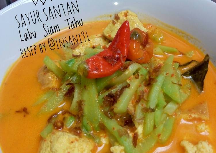 Resep Olahan Labu Siam Kecil