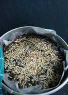 Brownis panggang