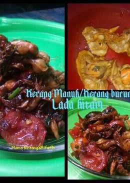 Kerang Manuk Lada hitam