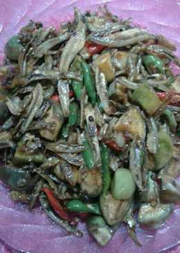 Teri Cabe Ijo