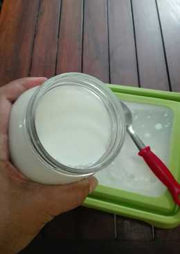 Plain Yogurt