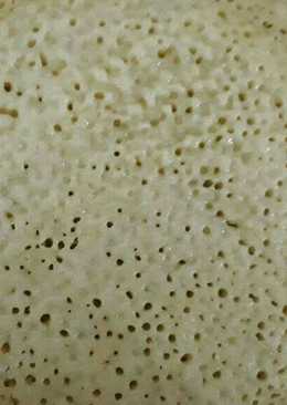 Martabak manis aka terang bulan