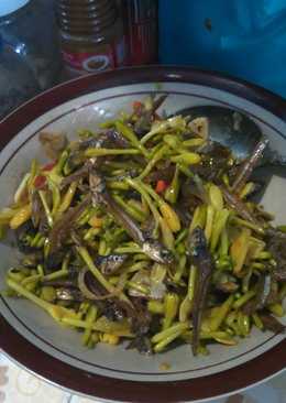 Tumis bunga pepaya