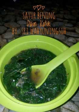 Sayur Bening Daun Katuk Simple