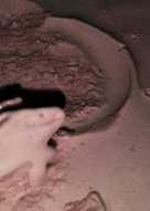 Ice cream rumahan 😊😊😊