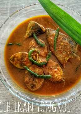 Gulai aceh ikan tongkol