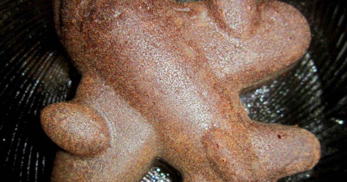 Resep Chococheese Lava Cake Resep Chococheese Lava Cake