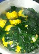 Sayur katuk