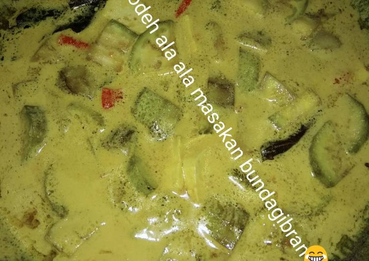 resep Sayur lodeh tahu kuning dan terong hijau