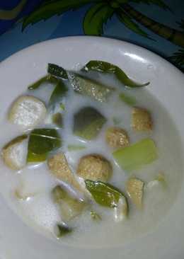 Sayur lodeh tahu campur