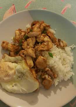 Special chicken on rice