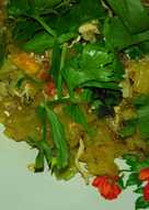 Mie des. mie khas pundong bantul yogyakarta