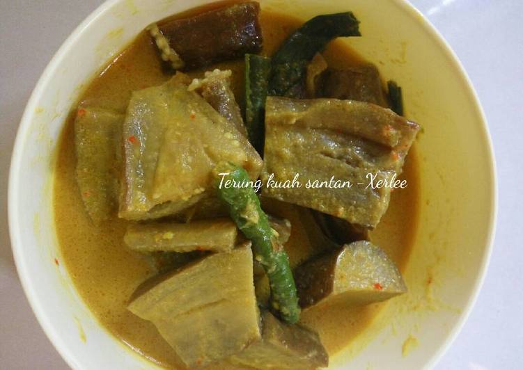  Resep Terong kuah santan oleh Sirli Cookpad