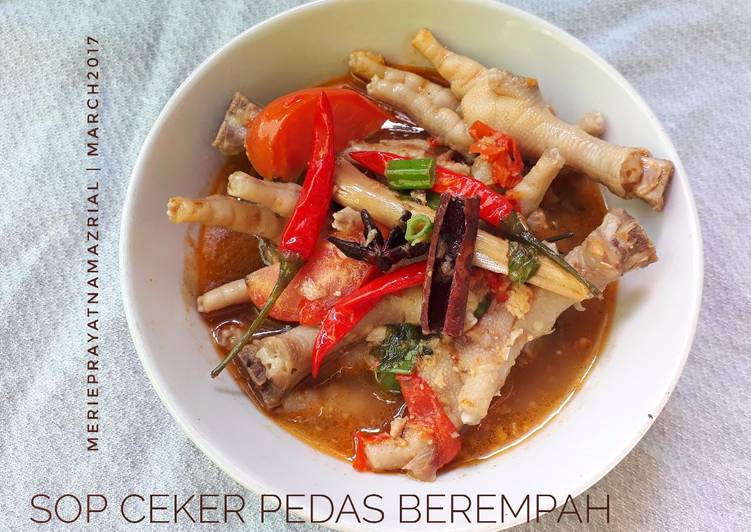 resep lengkap untuk Sop Ceker Pedas Berempah