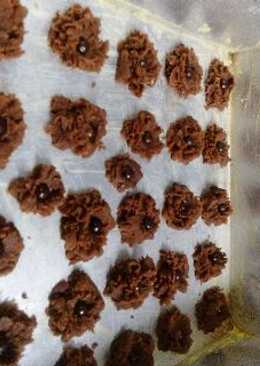 Kue Mawar Coklat