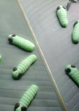 Caterpillars Cookies (foto step by step)