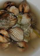 Sayur Asam Tudai / Kerang Dara