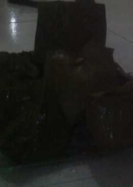 Botokan Daun Pepaya Jualð' (#PR__MASAKANBUNGKUSDAUN)