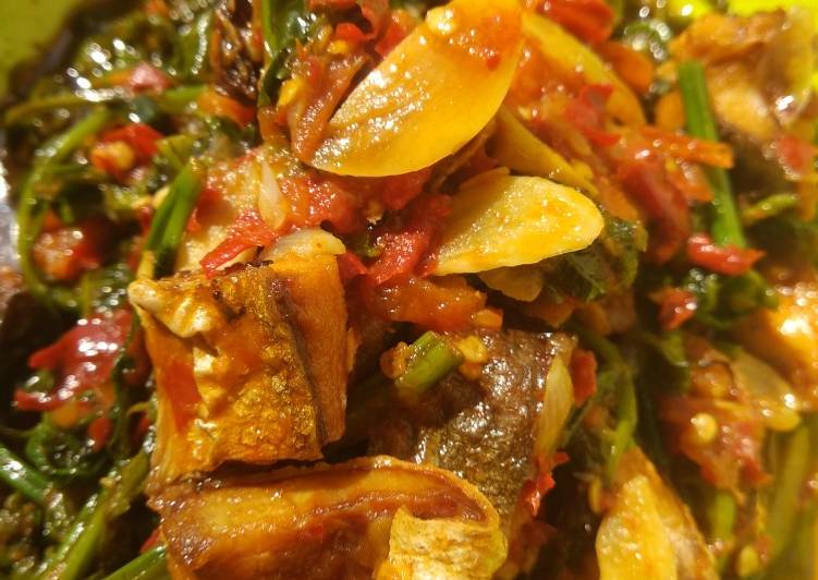  Resep Tumis Pakis Ikan Asin oleh Rhina Cookpad