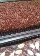 Bolu gulung ekonomis lembut