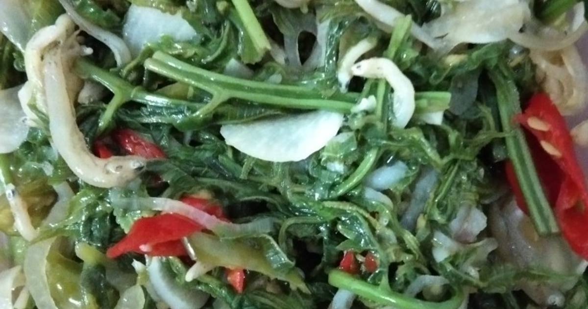 1 168 resep daun pakis enak dan sederhana Cookpad