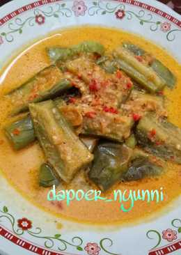 Terong Kuah Santan Pedas ala Mak Sah
