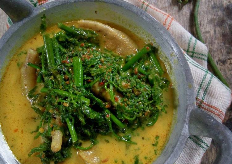 bahan dan cara membuat Gulai Pakis Ceker