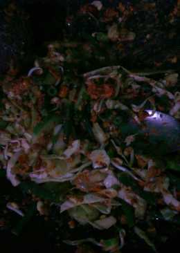 Lothek semarang