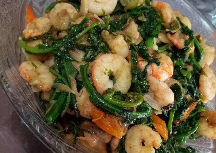 resep lengkap untuk Tumis pakis udang