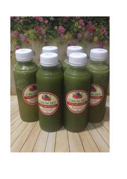 Diet Juice Kiwi Papaya Spinach