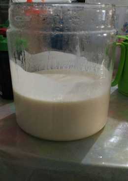 Yogurt plain homemade