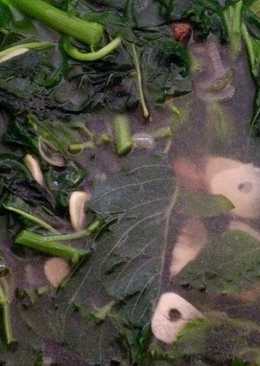 Bening bayam kemangi