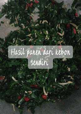 Oseng daun pepaya #alaraisa