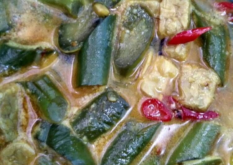 Resep Lodeh tempe terong Karya Maya Antika