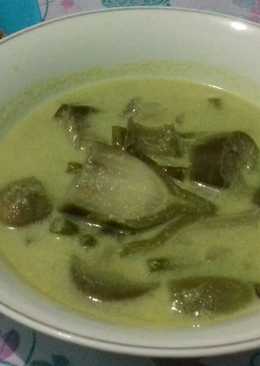 Sayur Lodeh Terong No Tumis No Uleg No Ribet aka Plung"