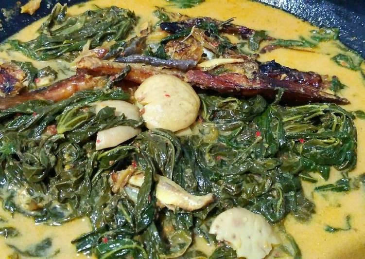 gambar untuk cara membuat Gulai Pucuk Ubi khas Sumbar