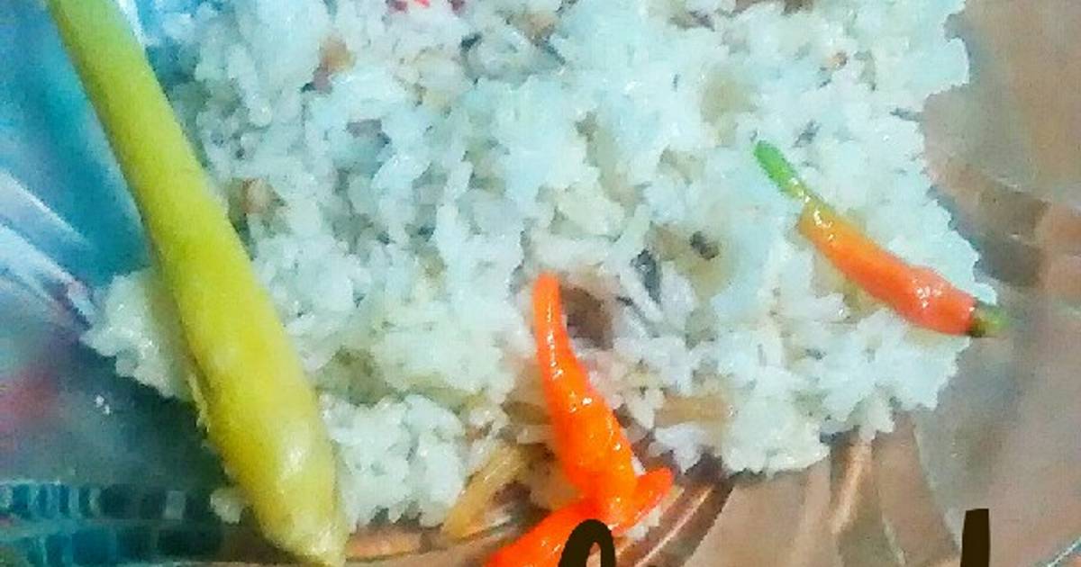 Resep Nasi Lemak Magic Com - Surasmi Y