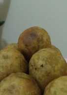 325 resep ubi cilembu enak dan sederhana Cookpad 325 resep ubi cilembu enak dan sederhana Cookpad