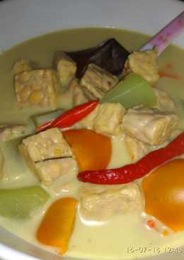 Sayur Lodeh Tempe ala Anak Kos