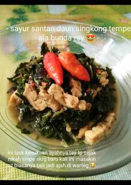 Sayur daun singkong tempe santan ala bunda rey