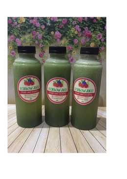 Diet Juice Apple Spinach Melon Lemon